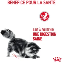 Royal Canin Digestive Care - croquettes chat
