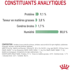 Royal Canin Digestive Care en mousse - pâtée chat