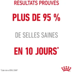 Royal Canin Digestive Care en mousse - pâtée chat