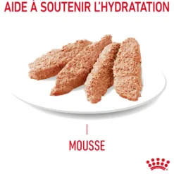 Royal Canin Digestive Care en mousse - pâtée chat