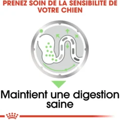Royal Canin Digestive Care - Pâtée pour chien