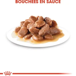 Royal Canin Digest Sensitive - pâtée chat