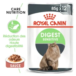 Royal Canin Digest Sensitive - pâtée chat