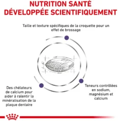 Royal Canin Ehn Chien Small Dental - croquettes chien