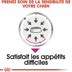 Royal Canin Exigent - pâtée chien