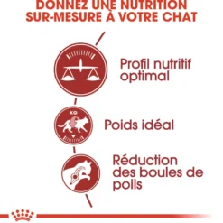 Royal Canin Fit 32 - croquettes chat