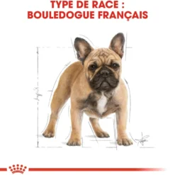 Royal Canin French Bulldog Adult - croquettes chien