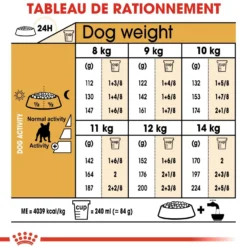 Royal Canin French Bulldog Adult - croquettes chien