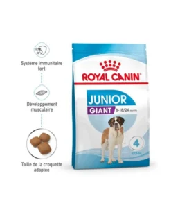 Royal Canin Giant Junior - Croquettes pour chiot