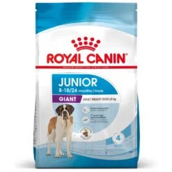 Royal Canin Giant Junior - Croquettes pour chiot