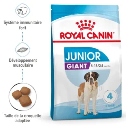 Royal Canin Giant Junior - Croquettes pour chiot