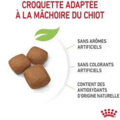 Royal Canin Giant Junior - Croquettes pour chiot