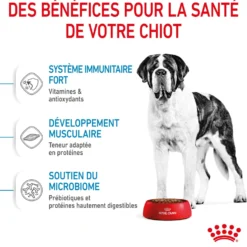 Royal Canin Giant Junior - Croquettes pour chiot