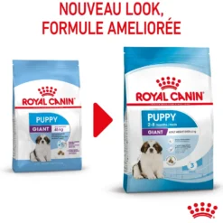 Royal Canin Giant Puppy - Croquettes pour chiot