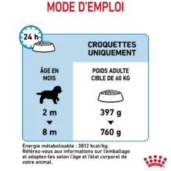 Royal Canin Giant Puppy - Croquettes pour chiot