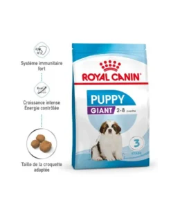 Royal Canin Giant Puppy - Croquettes pour chiot