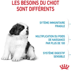 Royal Canin Giant Puppy - Croquettes pour chiot