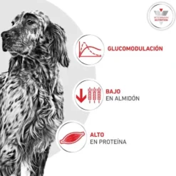 Royal Canin Glycobalance - croquettes chien
