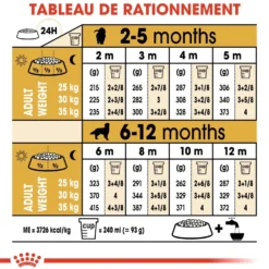 Royal Canin Golden Retriever Puppy - Croquettes pour chiot