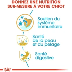 Royal Canin Golden Retriever Puppy - Croquettes pour chiot