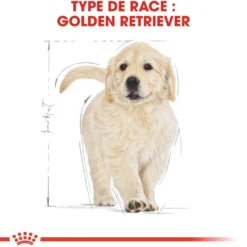 Royal Canin Golden Retriever Puppy - Croquettes pour chiot