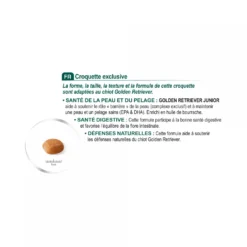 Royal Canin Golden Retriever Puppy - Croquettes pour chiot