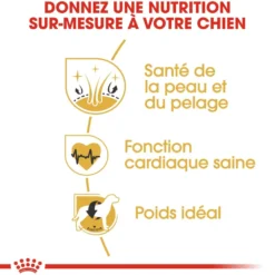 Royal Canin Golden Retriever Adult - Croquettes pour chien
