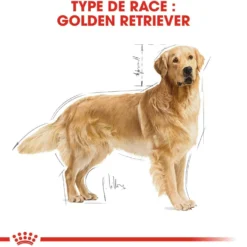 Royal Canin Golden Retriever Adult - Croquettes pour chien