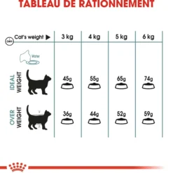 Royal Canin Hairball Care - croquettes chat