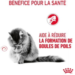 Royal Canin Hairball Care - croquettes chat