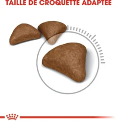 Royal Canin Hairball Care - croquettes chat