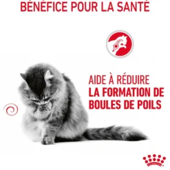 ROYAL CANIN Hairball Care en Gelée – Pâtée pour chat