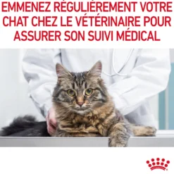 ROYAL CANIN Hairball Care en Gelée – Pâtée pour chat