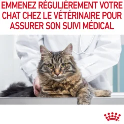 Royal Canin Hairball Care - pâtée chat