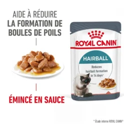 Royal Canin Hairball Care - pâtée chat