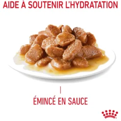 Royal Canin Hairball Care - pâtée chat