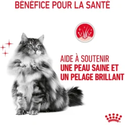 Royal Canin Hair & Skin Care
