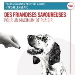 Royal Canin Hypoallergenic Treats chien
