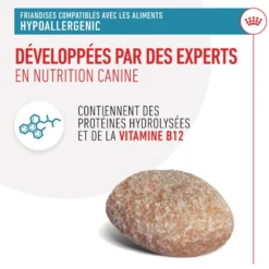 Royal Canin Hypoallergenic Treats chien