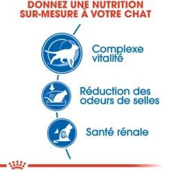 Royal Canin Indoor 7+