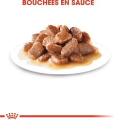 Royal Canin Instinctive - pâtée chat