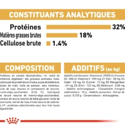 Royal Canin Jack Russell Puppy - croquettes chiot