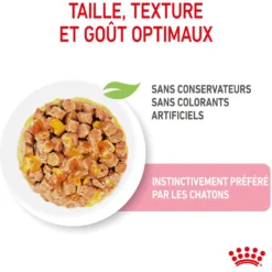 Royal Canin Kitten en Gelée - Pâtée pour chaton