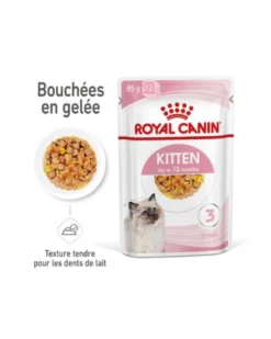 Royal Canin Kitten en Gelée - Pâtée pour chaton