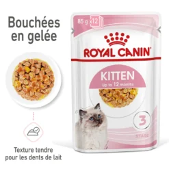 Royal Canin Kitten en Gelée - Pâtée pour chaton