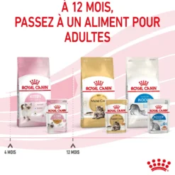 Royal Canin Kitten en Gelée - Pâtée pour chaton