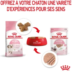 Royal Canin Kitten - Mousses pour chaton