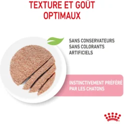 Royal Canin Kitten - Mousses pour chaton