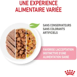 Royal Canin Kitten Multipack - Pâtées pour chaton