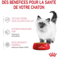 Royal Canin Kitten Multipack - Pâtées pour chaton